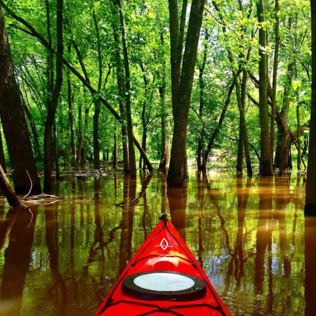 30 Reasons Why You Need To Spend More Time Kayaking (30 pics)