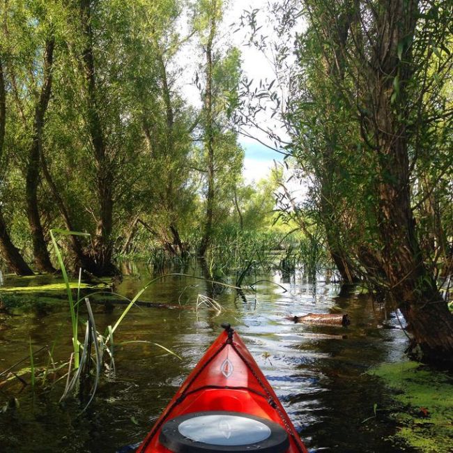 30 Reasons Why You Need To Spend More Time Kayaking (30 pics)