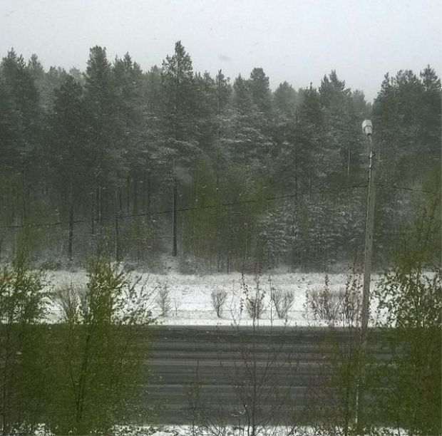 Northern Russia Gets Fresh Snow On The First Day Of Summer (16 pics)