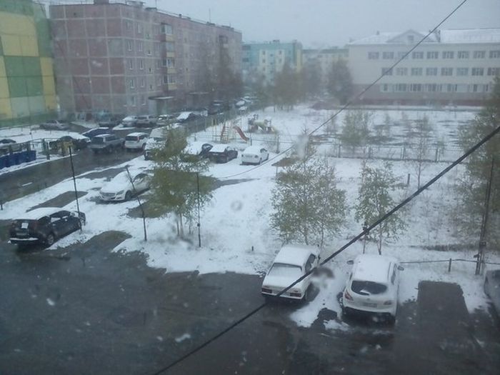 Northern Russia Gets Fresh Snow On The First Day Of Summer (16 pics)