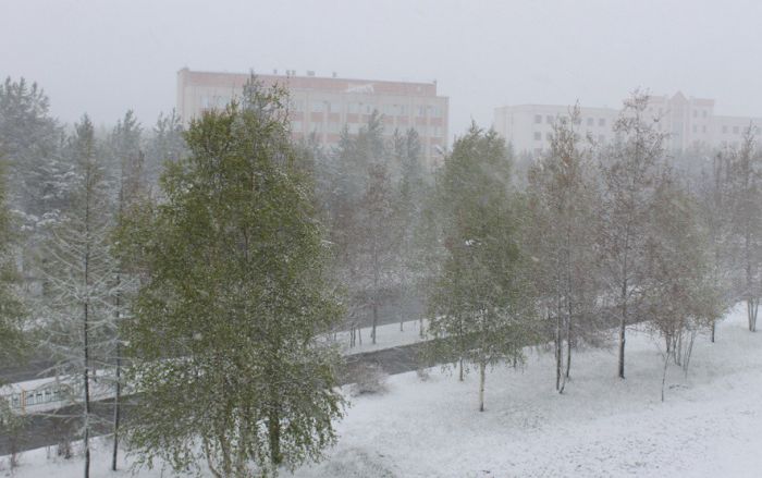 Northern Russia Gets Fresh Snow On The First Day Of Summer (16 pics)