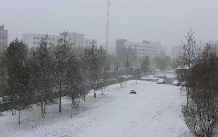 Northern Russia Gets Fresh Snow On The First Day Of Summer (16 pics)