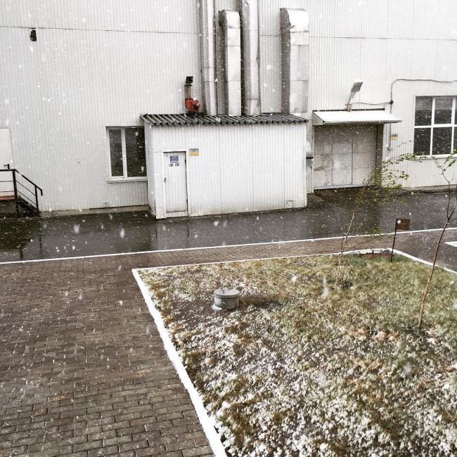 Northern Russia Gets Fresh Snow On The First Day Of Summer (16 pics)