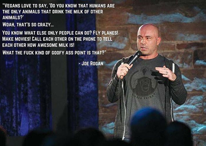 Here's A Sweet Dose Of Truth For Your Brain To Digest (50 pics)