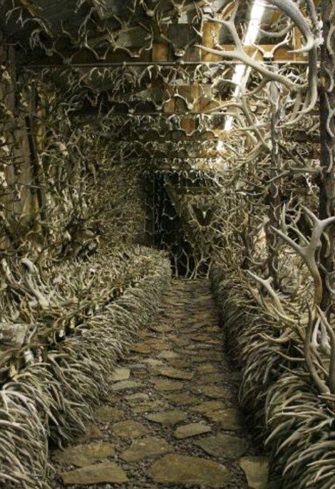 Over 15,000 Antlers Are Stashed Away Inside This House (8 pics)