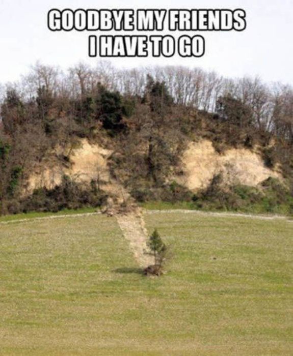 The World Is Cold When You're Forever Alone (42 pics)