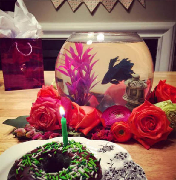 The World Is Cold When You're Forever Alone (42 pics)