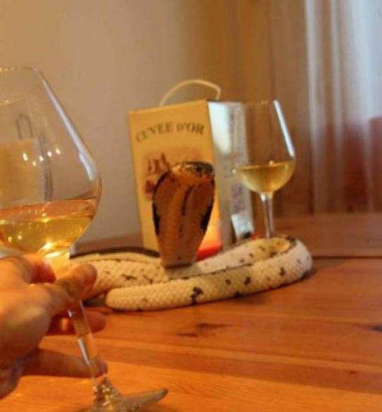 The World Is Cold When You're Forever Alone (42 pics)