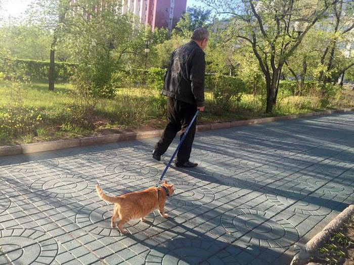 In Russia Crazy Is The New Normal (41 pics)