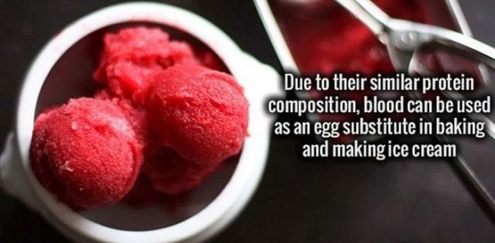 Your Brain Is Going To Love These Cool Facts (29 pics)