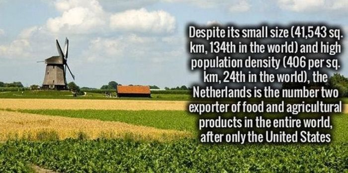 Your Brain Is Going To Love These Cool Facts (29 pics)