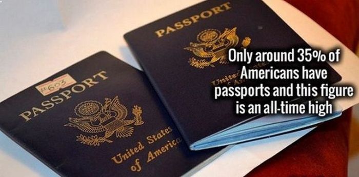 Your Brain Is Going To Love These Cool Facts (29 pics)