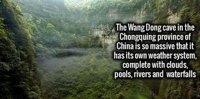 Your Brain Is Going To Love These Cool Facts (29 pics)