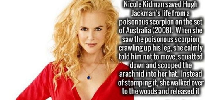 Your Brain Is Going To Love These Cool Facts (29 pics)