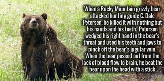 Your Brain Is Going To Love These Cool Facts (29 pics)