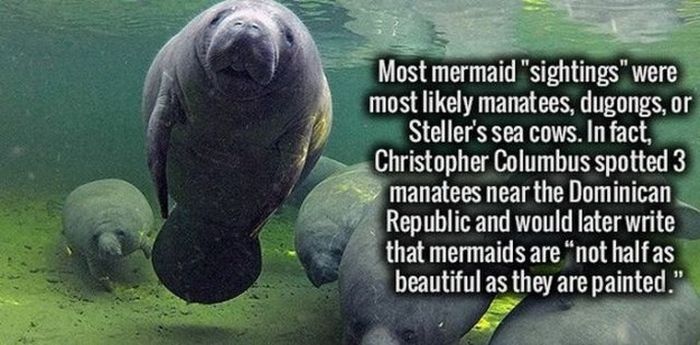 Your Brain Is Going To Love These Cool Facts (29 pics)