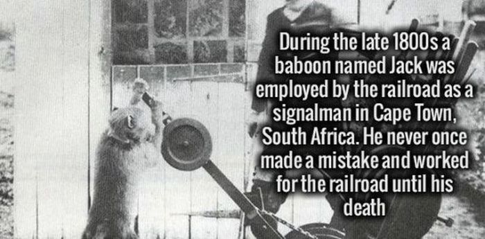 Your Brain Is Going To Love These Cool Facts (29 pics)