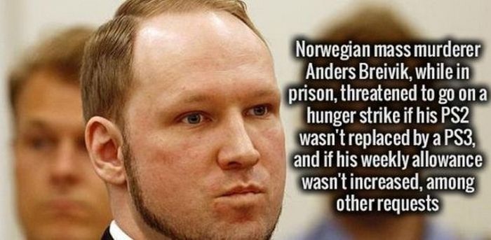 Your Brain Is Going To Love These Cool Facts (29 pics)