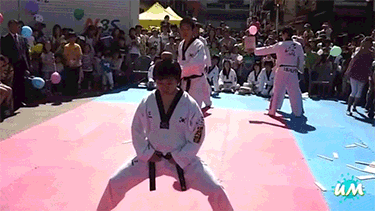 Funny Martial Arts Fails That Will Crack You Up (17 gifs)