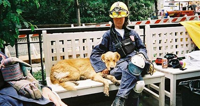 The Last Surviving Search Dog From 9/11 Has Passed Away (10 pics)