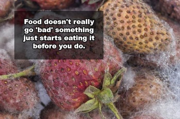 Precious Shower Thoughts For Your Brain To Ponder (19 pics)