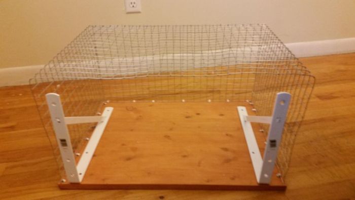 Owner Builds The Perfect Kitty Cage For Their Cat (9 pics)