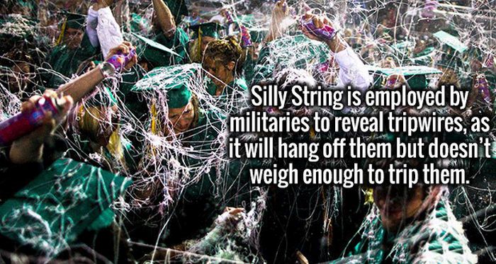 Interesting Facts That Will Knock The Ignorance Out Of Your Brain (19 pics)