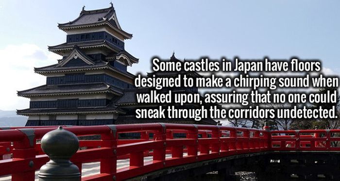 Interesting Facts That Will Knock The Ignorance Out Of Your Brain (19 pics)