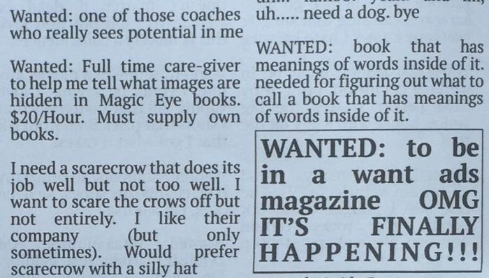 Hilarious Fake Want Ads From The Community Newspaper (11 pics)