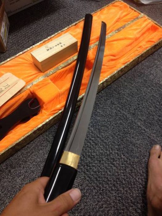 Awesome But Unexpected Surprise Discovered In A Mysterious Dumpster Box (13 pics)