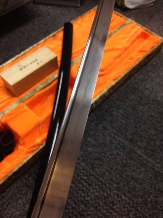 Awesome But Unexpected Surprise Discovered In A Mysterious Dumpster Box (13 pics)