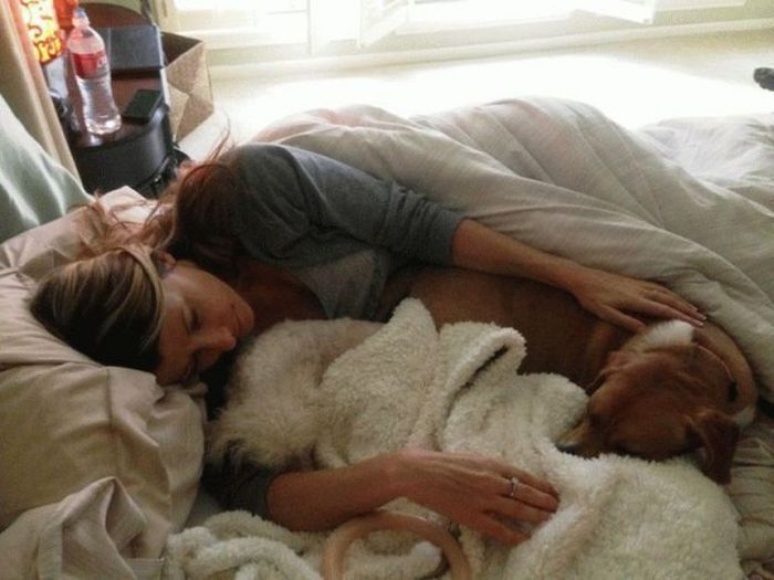 Pumpkin The Rescue Dog Gets A Second Chance At Life (9 pics)