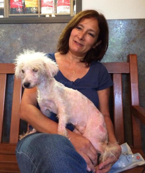 Pumpkin The Rescue Dog Gets A Second Chance At Life (9 pics)