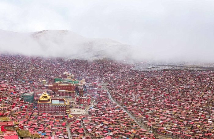 A Look At The World's Busiest Buddhism Campus (14 pics)