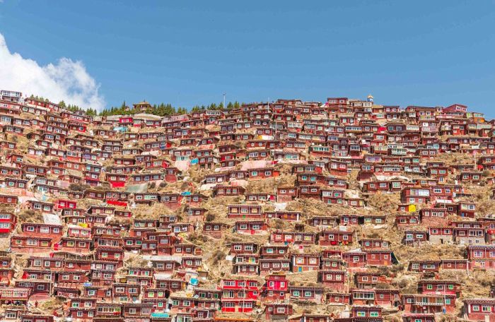 A Look At The World's Busiest Buddhism Campus (14 pics)