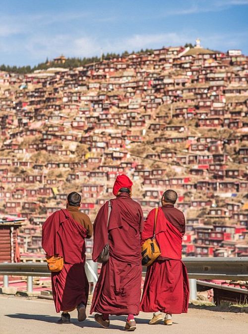 A Look At The World's Busiest Buddhism Campus (14 pics)
