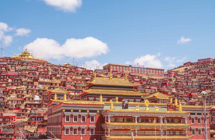 A Look At The World's Busiest Buddhism Campus (14 pics)