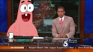 The Best Live News Blooper Gifs The Internet Has To Offer (20 gifs)