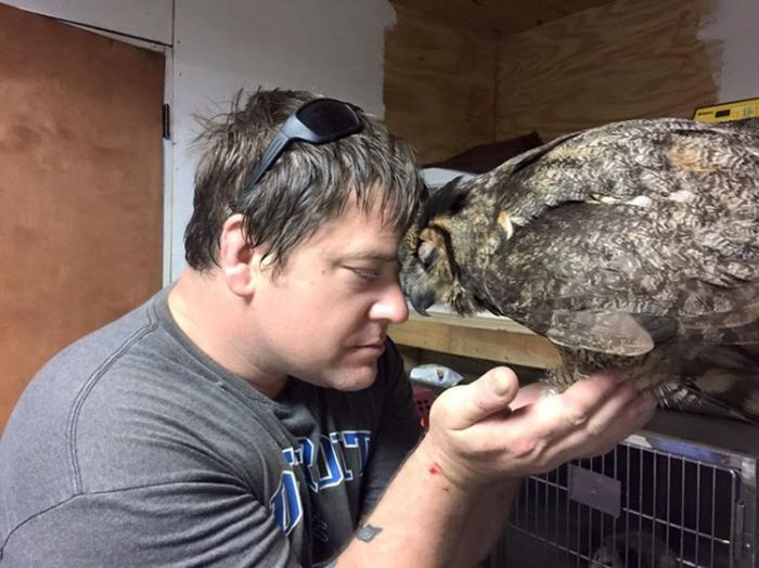 Owl Sincerely Thanks The Man Who Rescued Her (4 pics)