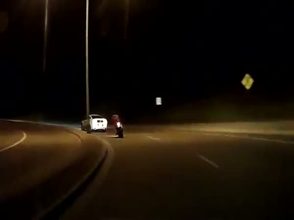 Mustang Knocks Dude Off Motorcycle