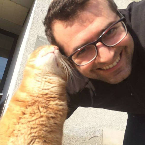 This Cat Comes To University Everyday Get Pets (15 pics)