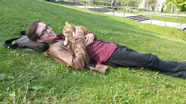 This Cat Comes To University Everyday Get Pets (15 pics)