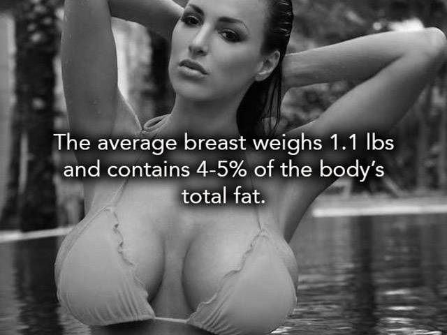 If You Like Breasts Then You're Going To Love These Facts (15 pics)