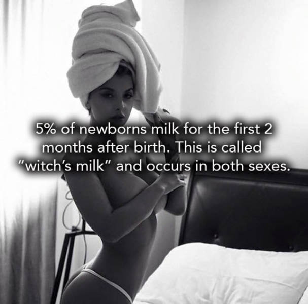 If You Like Breasts Then You're Going To Love These Facts (15 pics)
