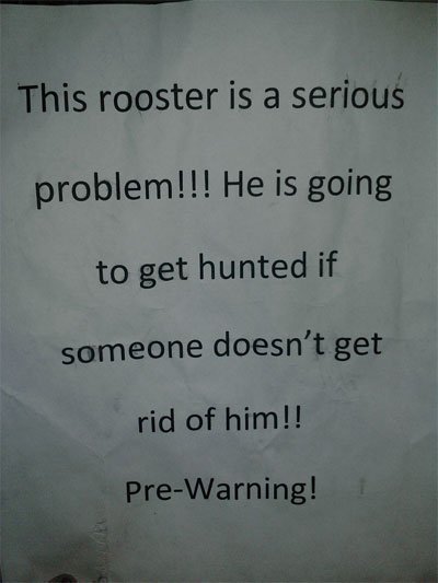 Angry Neighbors Write The Most Hilarious Notes (33 pics)