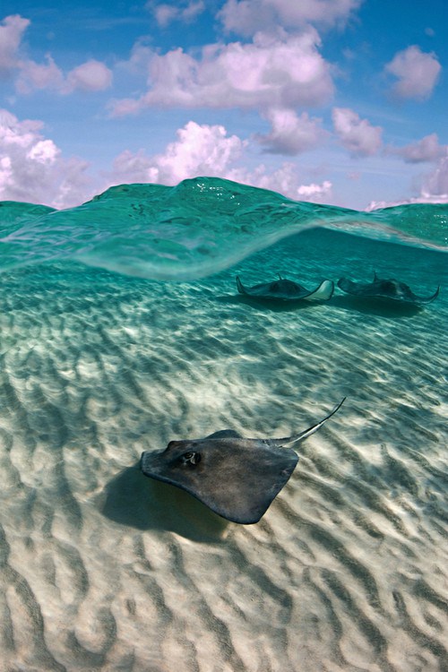 Soothing Pictures Of Beautiful Crystal Clear Waters (38 pics)