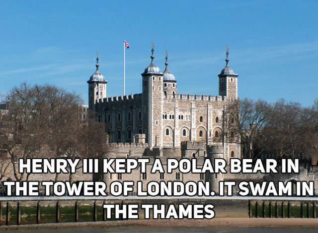 Weird Historical Facts About Great Britain (18 pics)