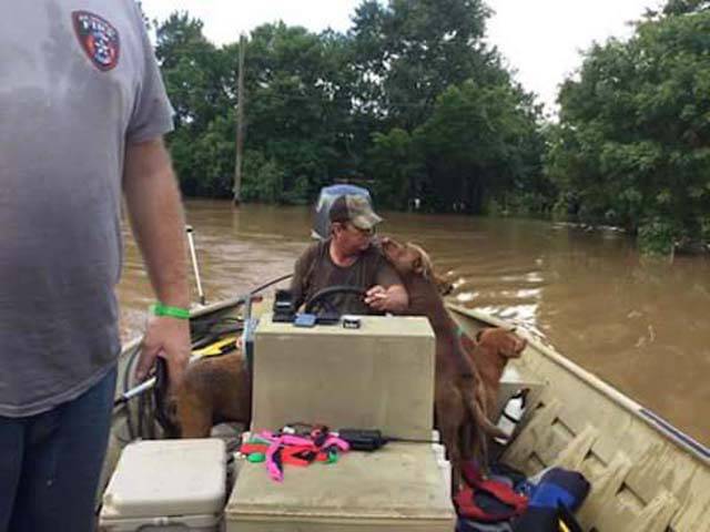 Father And Son Save Animals From Flooded Texas Homes (9 pics)