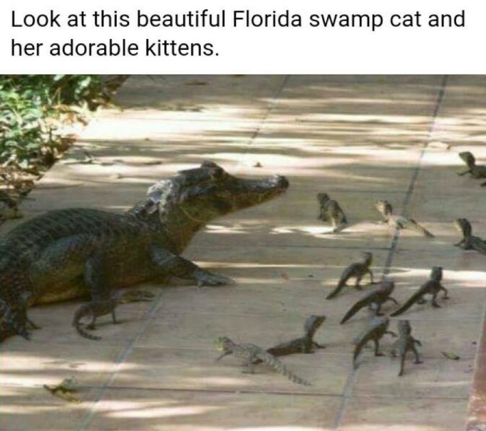 Hilarious Randomness From The Depths Of The Internet (30 pics)