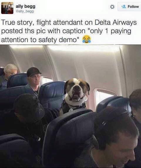 Hilarious Randomness From The Depths Of The Internet (30 pics)